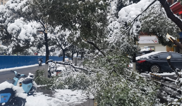 抗擊冰雪，他們在行動